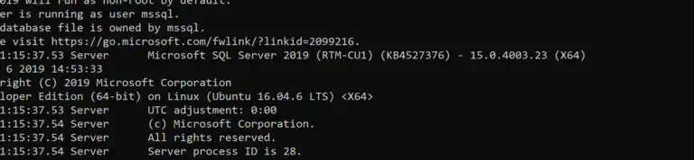 Automating SQL Server 2019 Docker Deployments