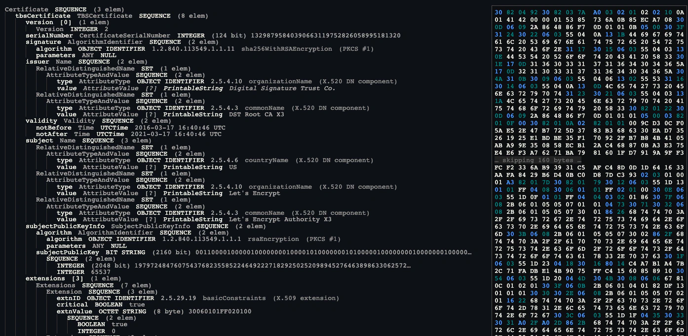 Decoded ASN.1 certificate